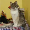 Отзыв от Нина Черкасова